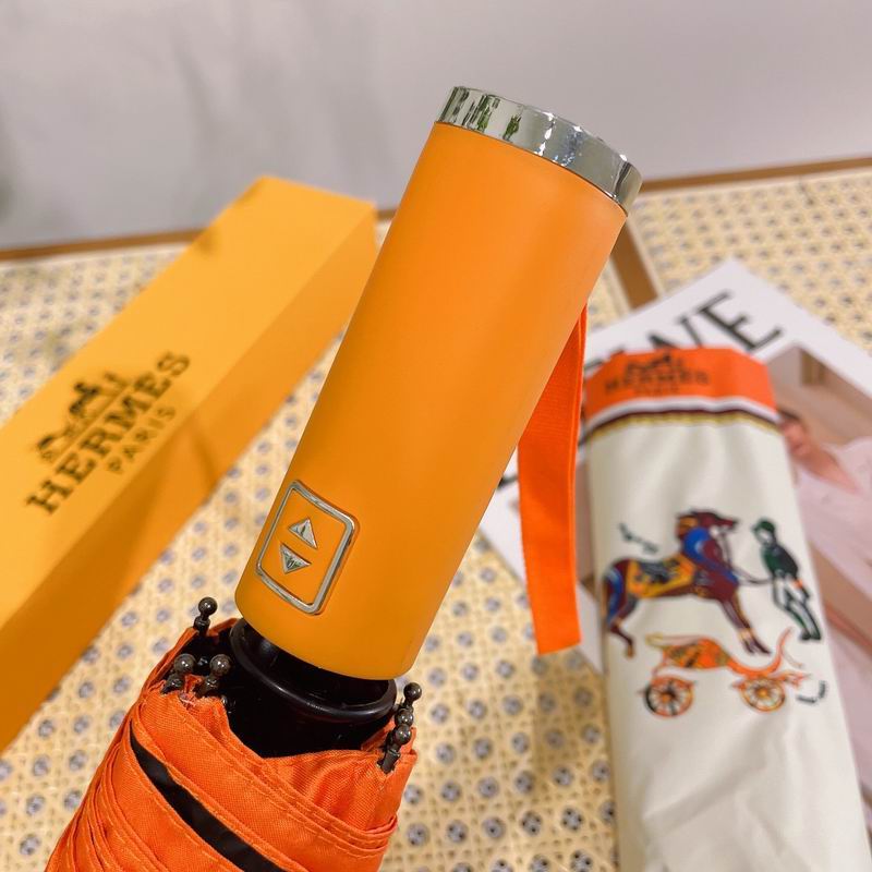 Hermes Umbrella E02 (13)